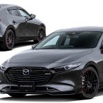 Mazda 3 AutoExe Kits