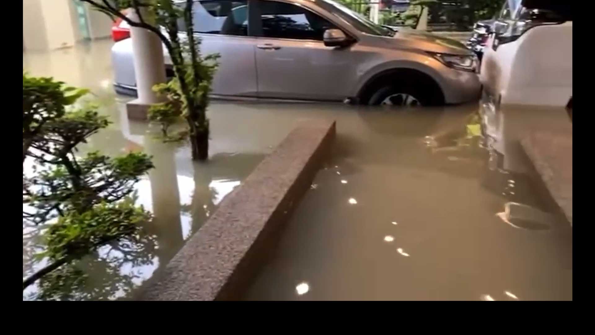 Flood 