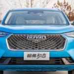 Haval First Love