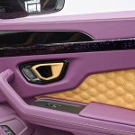 Lamborghini Urus Mansory