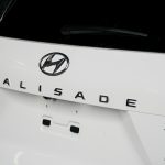 Hyundai Palisade Malaysia