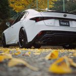 Lexus IS TOMS Racing
