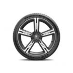 Michelin Pilot Sport 5