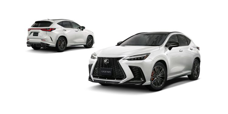 2022 Lexus NX TRD